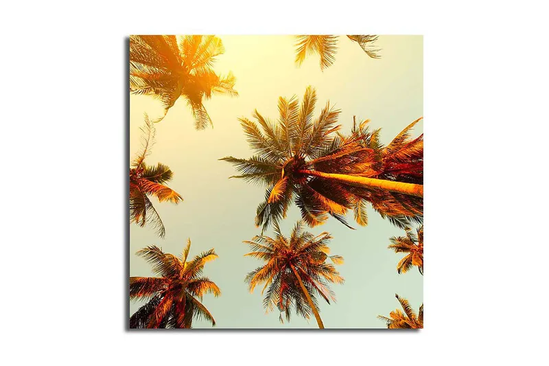 Canvastavla Floral Flerfärgad, 45x45 cm