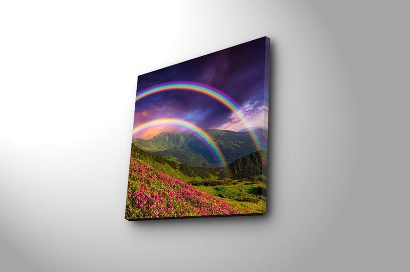 Canvastavla Floral Flerfärgad - 45x45 cm - Inredning - Tavlor & konst - Canvastavlor