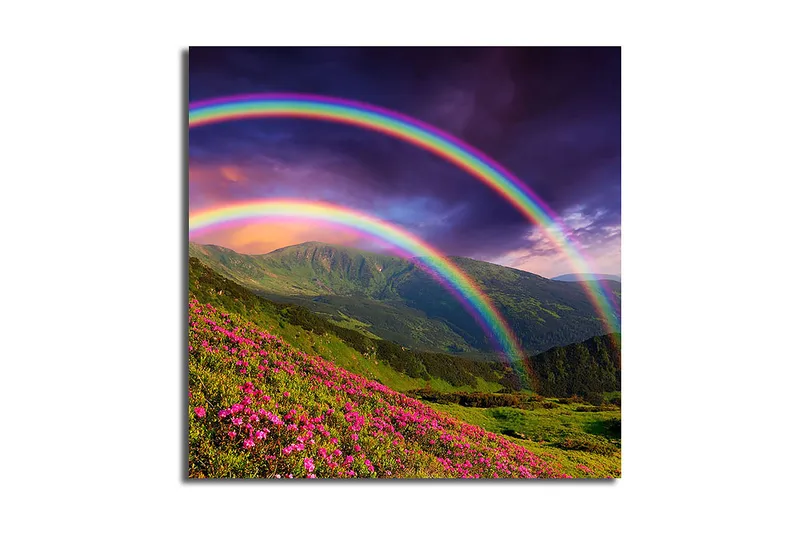 Canvastavla Floral Flerfärgad, 45x45 cm