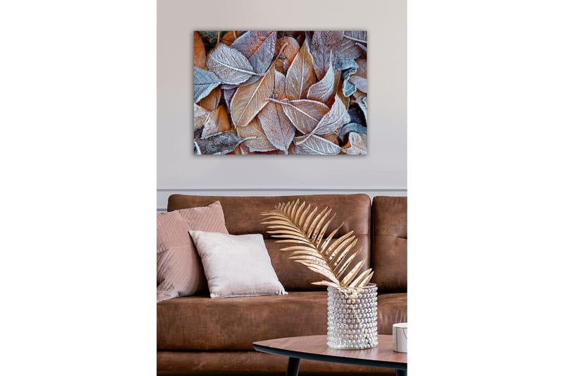 Canvastavla - Frostiga höstlöv i varma nyanser - Orange / Grå / Vit - Inredning - Tavlor & konst - Canvastavlor