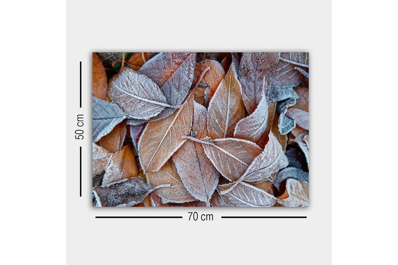 Canvastavla - Frostiga höstlöv i varma nyanser - Orange / Grå / Vit - Inredning - Tavlor & konst - Canvastavlor