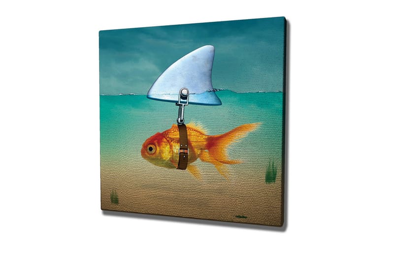 Canvastavla - Guldfisk med simfena som simmar i klart vatten, Turkos / Orange / Beige