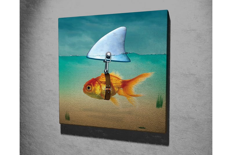 Canvastavla - Guldfisk med simfena som simmar i klart vatten - Turkos / Orange / Beige - Inredning - Tavlor & konst - Canvastavlor