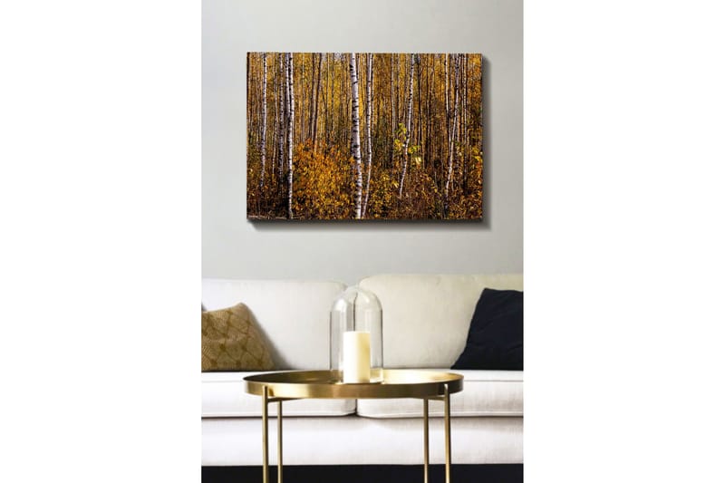Canvastavla - Gyllene höstskog med björkar - Gult / Vitt / Brunt - Inredning - Tavlor & konst - Canvastavlor