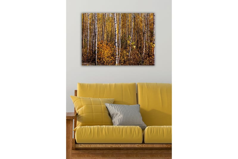 Canvastavla - Höstlig skog med björkar och gyllene löv - Guld / Vit / Brun - Inredning - Tavlor & konst - Canvastavlor