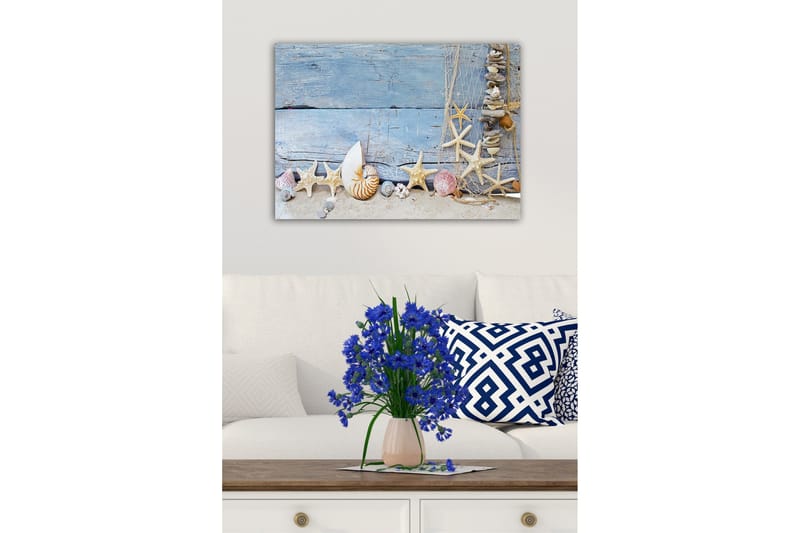 Canvastavla - Havsinspirerad samling av snäckor och sjöstjärnor - Blå / Beige / Vit - Inredning - Tavlor & konst - Canvastavlor