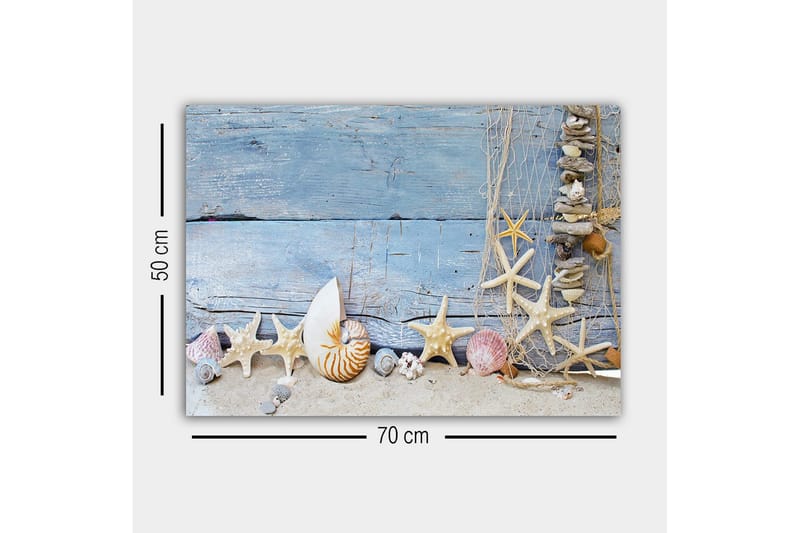 Canvastavla - Havsinspirerad samling av snäckor och sjöstjärnor - Blå / Beige / Vit - Inredning - Tavlor & konst - Canvastavlor