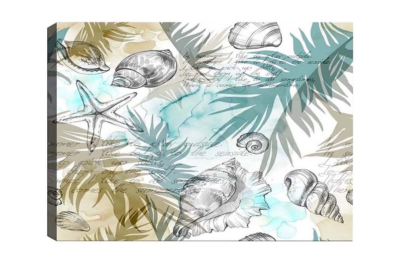 Canvastavla - Havsmotiv med snäckor och palmblad, Blå / Beige / Grön