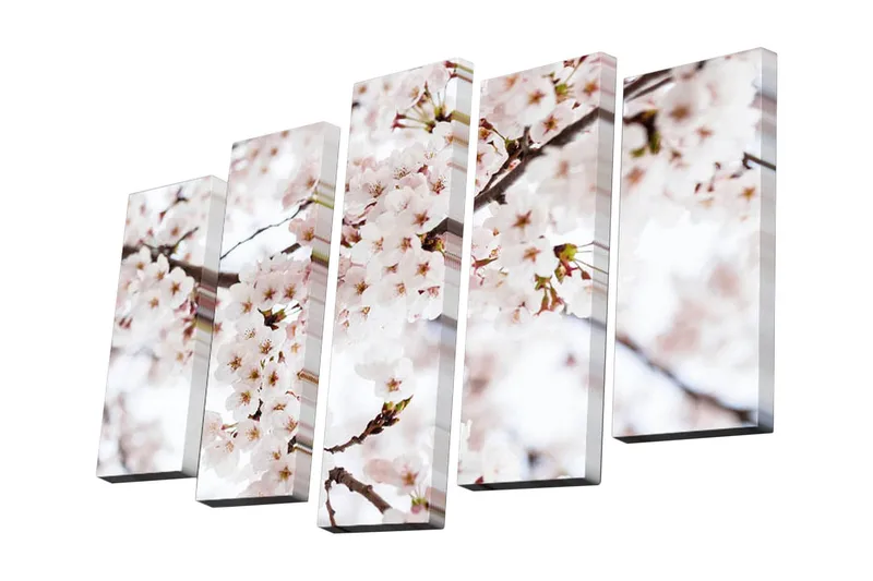 Canvastavla i 5 delar 82x50 cm - Blomstrande körsbärsträd i vårens ljus - Ljusrosa / Vit / Grön - Inredning - Tavlor & konst - Canvastavlor