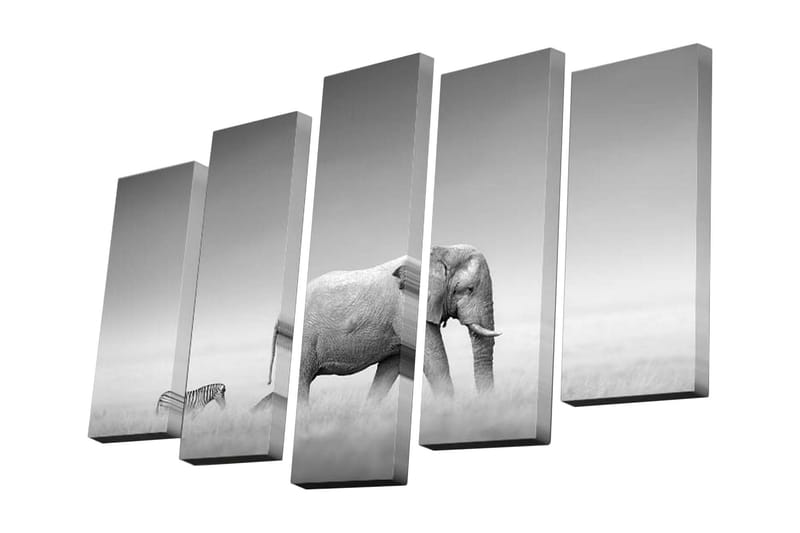 Canvastavla i 5 delar 82x50 cm - Elefant och zebra i en harmonisk svartvit komposition - Svart / Vitt / Grått - Inredning - Tavlor & konst - Canvastavlor