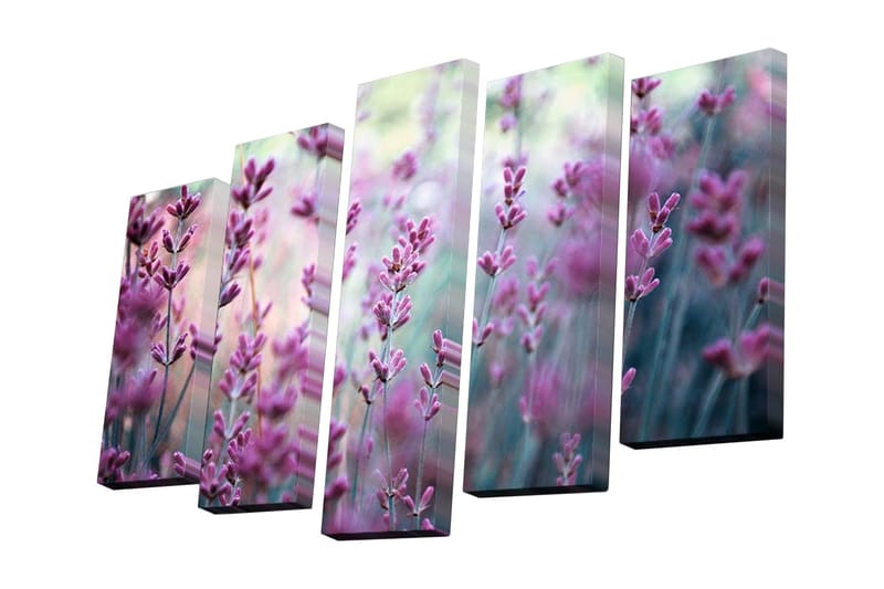 Canvastavla i 5 delar 82x50 cm - Lila lavendelblommor i en harmonisk komposition - Lila / Grön / Blå - Inredning - Tavlor & konst - Canvastavlor