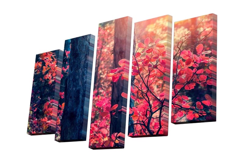 Canvastavla i 5 delar 82x50 cm - Vacker höstlandskap med färgglada löv, Röd / Grön / Brun