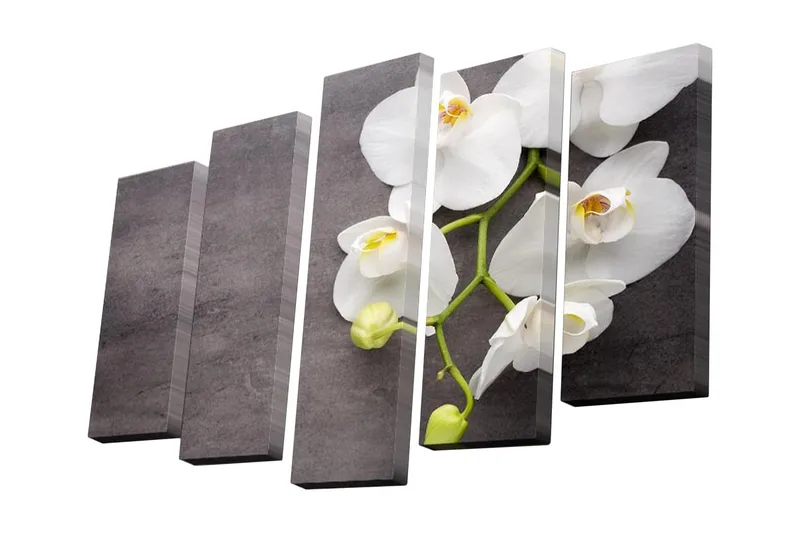 Canvastavla i 5 delar 82x50 cm - Vacker orkidé med vita blommor på en mörk bakgrund - Vit / Grå / Grön - Inredning - Tavlor & konst - Canvastavlor