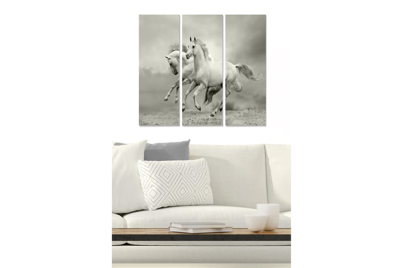 Canvastavla i trä 3-delar 50x70 cm - Dynamiska hästar i rörelse, Vit / Grå