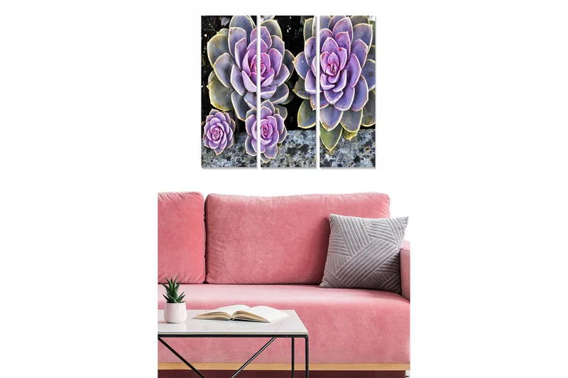 Canvastavla i trä 3-delar 50x70 cm - Färgglada suckulenter i olika nyanser, Lila / Grön / Grå