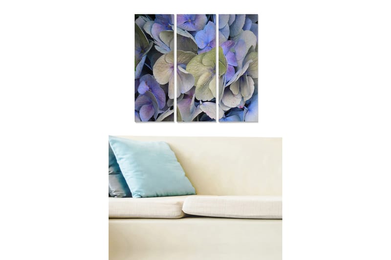 Canvastavla i trä 3-delar 50x70 cm - Färgrik samling av hortensia-blommor, Lila / Grön / Blå