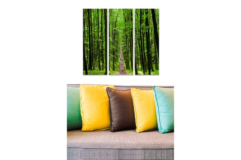 Canvastavla i trä 3-delar 50x70 cm - Grönskande skog med höga träd och en stig som leder in i djupet, Grön / Ljusgrön