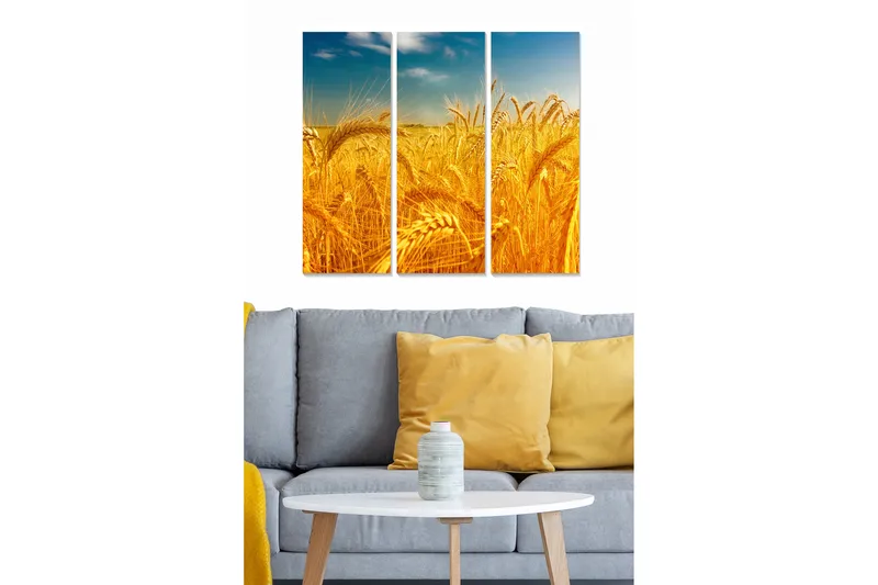 Canvastavla i trä 3-delar 50x70 cm - Gyllene vetefält under en klar himmel, Guld / Blå