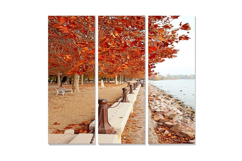 Canvastavla i trä 3-delar 50x70 cm - Höstlandskap med gyllene lövträd längs en promenadsträcka vid vattnet, Orange / Brun / Beige
