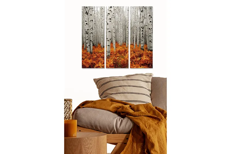 Canvastavla i trä 3-delar 50x70 cm - Höstlig skog med vita björkar och orangea ormbunkar, Vit / Orange