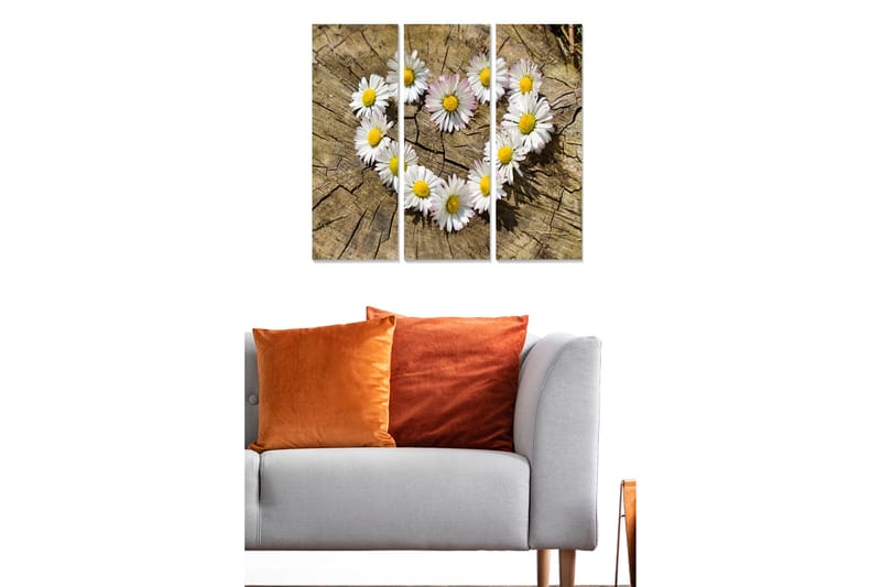 Canvastavla i trä 3-delar 50x70 cm - Hjärtformad samling av prästkragar på en träyta, Vit / Gul / Brun