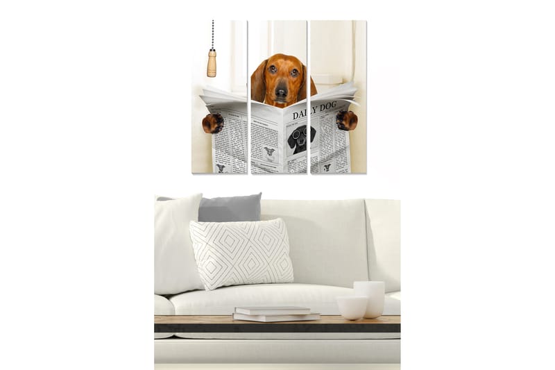 Canvastavla i trä 3-delar 50x70 cm - Hund som läser tidningen med nyfikenhet, Brun / Svart / Vit