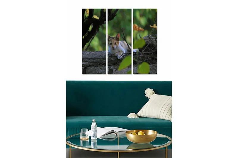 Canvastavla i trä 3-delar 50x70 cm - Katt som ligger på en sten omgiven av grönska, Grön / Brun / Vit