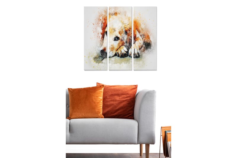 Canvastavla i trä 3-delar 50x70 cm - Lugn hund som vilar med huvudet på sina tassar - Orange / Vit / Svart - Inredning - Tavlor & konst - Canvastavlor