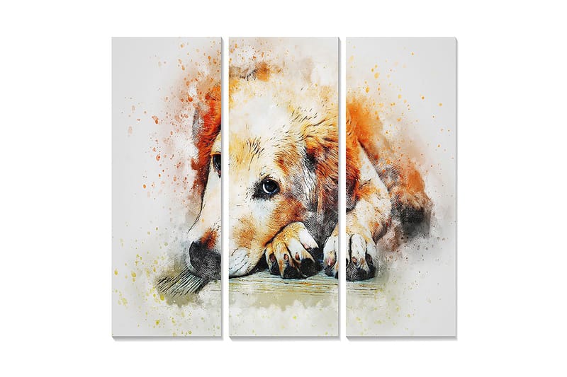 Canvastavla i trä 3-delar 50x70 cm - Lugn hund som vilar med huvudet på sina tassar, Orange / Vit / Svart