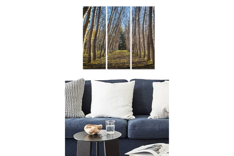 Canvastavla i trä 3-delar 50x70 cm - Lummig allé med höga träd som sträcker sig mot en ljus himmel, Grön / Brun / Blå