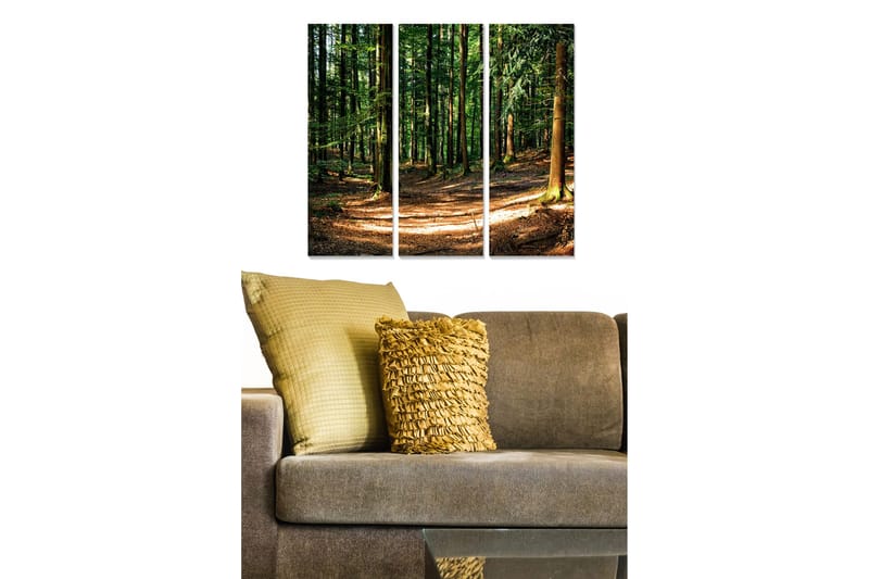 Canvastavla i trä 3-delar 50x70 cm - Lummig skog med solbelysta stigar, Grön / Brun / Gul