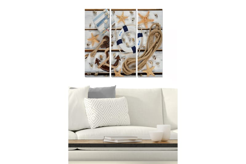 Canvastavla i trä 3-delar 50x70 cm - Marint stilleben med snäckor, stjärnformade sjöstjärnor och en livboj, Beige / Blå / Brun