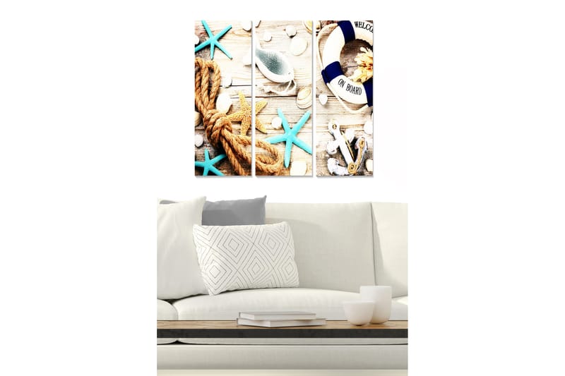 Canvastavla i trä 3-delar 50x70 cm - Maritim komposition med snäckor, stjärnformade sjöstjärnor och rep - Turkos / Beige / Vit - Inredning - Tavlor & konst - Canvastavlor
