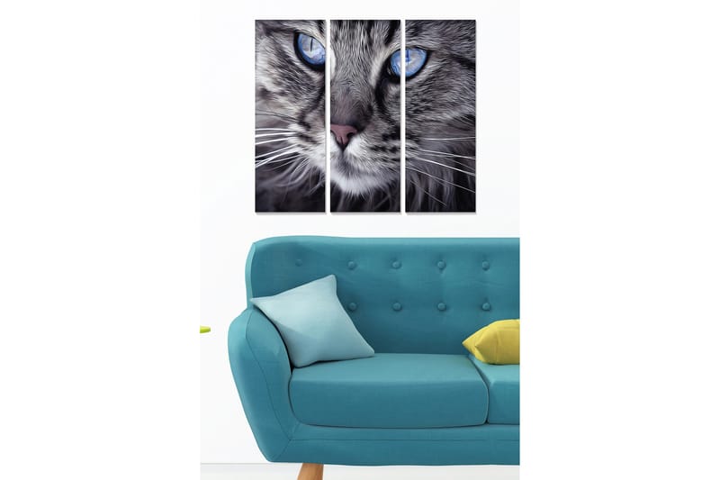 Canvastavla i trä 3-delar 50x70 cm - Närbild av en katt med intensiva blå ögon, Grå / Blå