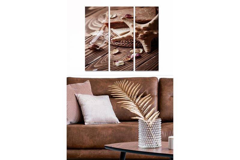 Canvastavla i trä 3-delar 50x70 cm - Naturlig stillhet med skaldjur och doftande örter - Beige / Brun / Vit - Inredning - Tavlor & konst - Canvastavlor