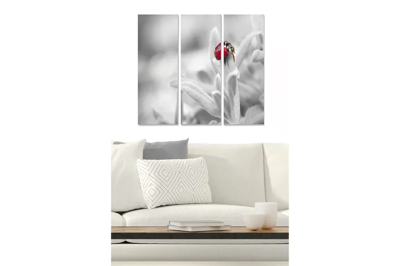 Canvastavla i trä 3-delar 50x70 cm - Röd nyckelpiga på en grön växt, Röd / Grön / Svart