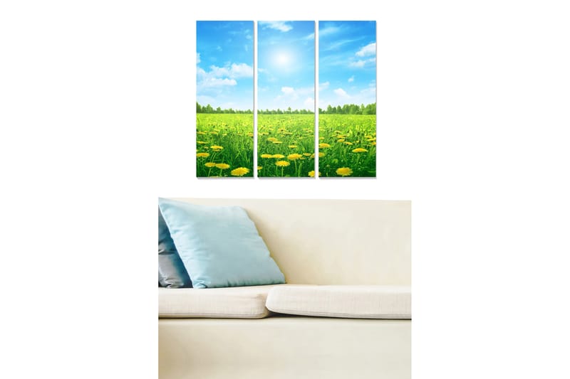 Canvastavla i trä 3-delar 50x70 cm - Solig äng med maskrosor och blå himmel, Grön / Gul / Blå