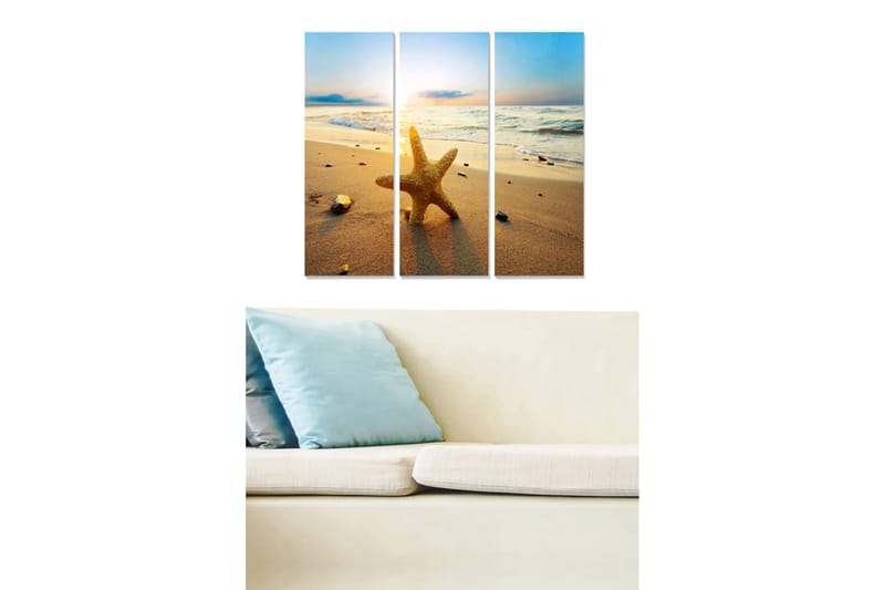 Canvastavla i trä 3-delar 50x70 cm - Stjärnformad sjöstjärna på en sandstrand vid solnedgången, Guld / Blå / Beige
