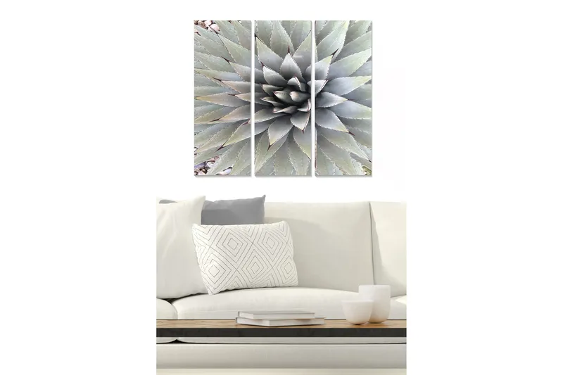 Canvastavla i trä 3-delar 50x70 cm - Symmetrisk komposition av agaveblad, Grön / Grå / Beige