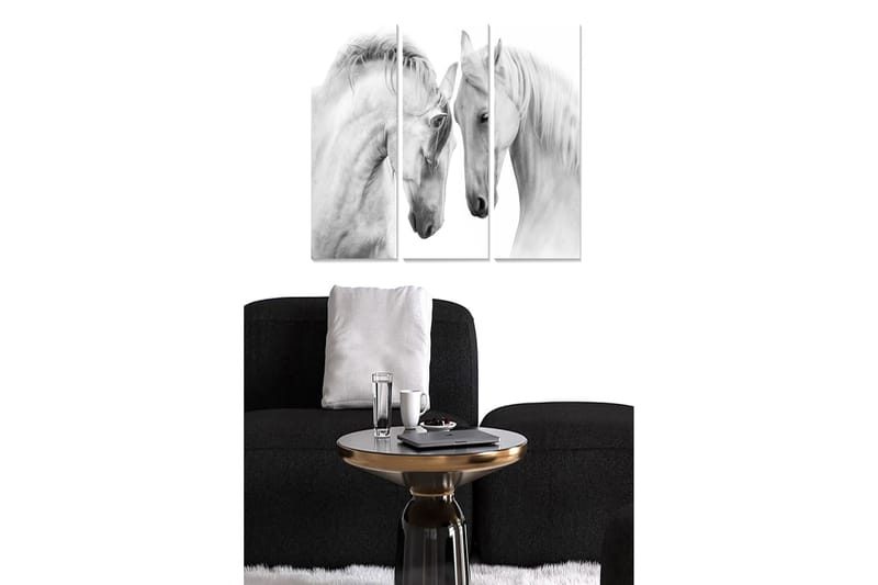 Canvastavla i trä 3-delar 50x70 cm - Två eleganta vita hästar som står nära varandra, Vit / Grå