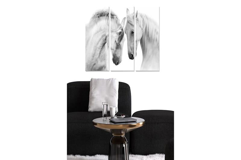 Canvastavla i trä 3-delar 50x70 cm - Två eleganta vita hästar som står nära varandra, Vit / Grå
