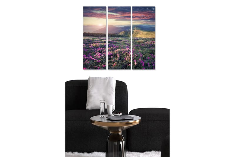 Canvastavla i trä 3-delar 50x70 cm - Vacker blomsteräng med färgglada blommor och fjärran berg i solnedgången, Lila / Grön / Orange