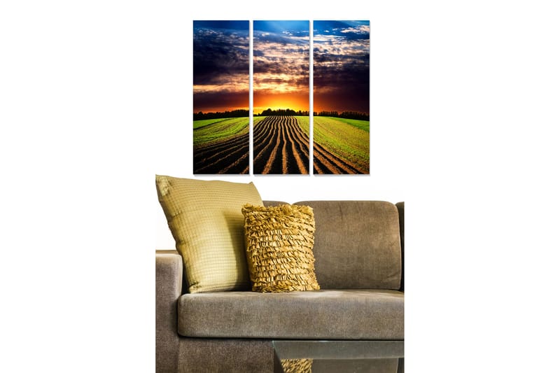 Canvastavla i trä 3-delar 50x70 cm - Vacker landskapsvy med solnedgång över fält, Grön / Orange / Blå