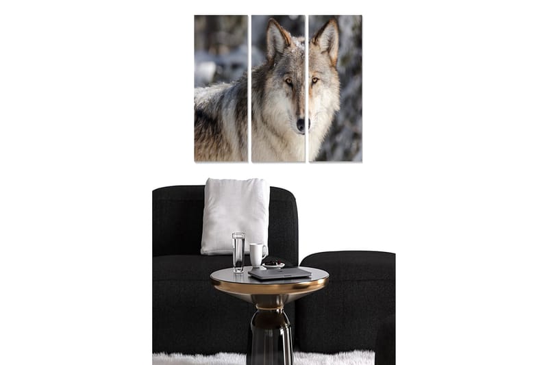 Canvastavla i trä 3-delar 50x70 cm - Varg i naturlig miljö med intensiv blick - Grå / Beige / Brun - Inredning - Tavlor & konst - Canvastavlor