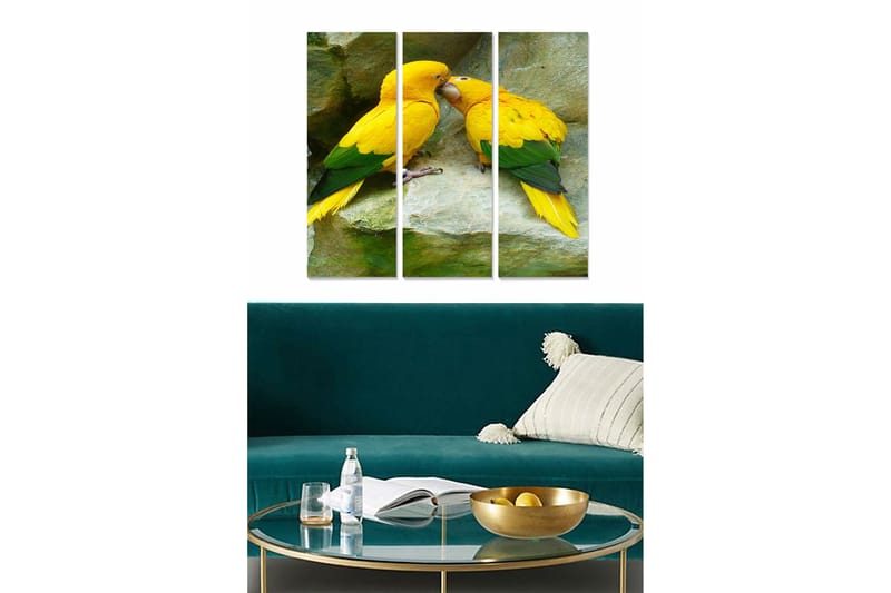 Canvastavla i trä 3-delar 50x70 cm - Par av färgglada papegojor som visar ömhet mot varandra, Gul / Grön