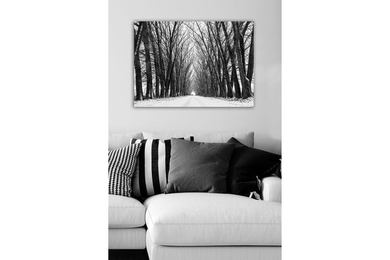 Canvastavla - Karg allé av nakna träd i vinterlandskap - Svart / Vitt / Grått - Inredning - Tavlor & konst - Canvastavlor