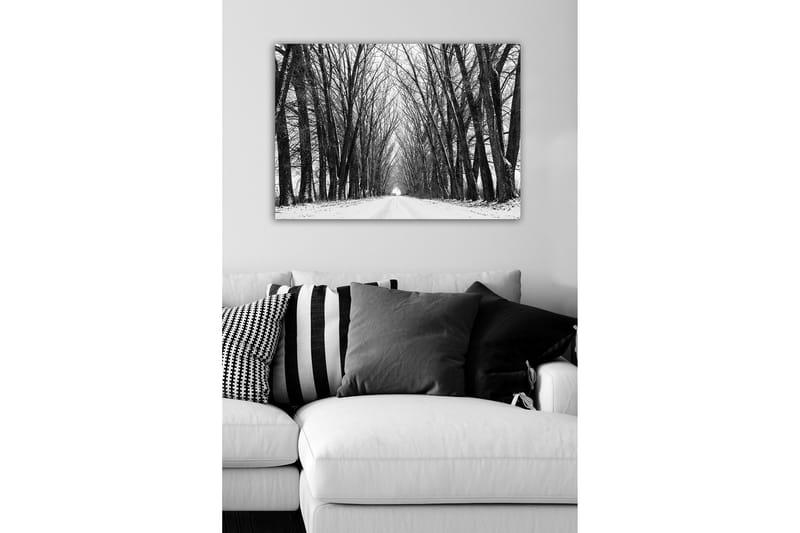 Canvastavla - Karg allé av nakna träd i vinterlandskap - Svart / Vitt / Grått - Inredning - Tavlor & konst - Canvastavlor