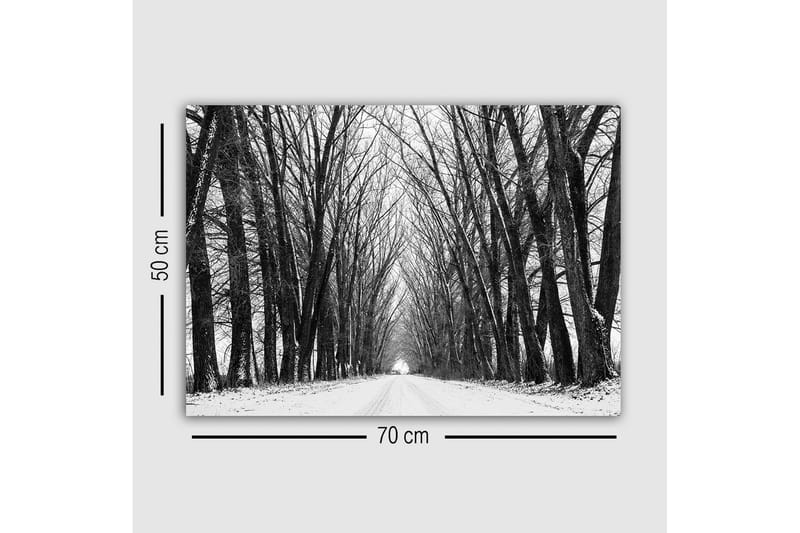 Canvastavla - Karg allé av nakna träd i vinterlandskap - Svart / Vitt / Grått - Inredning - Tavlor & konst - Canvastavlor