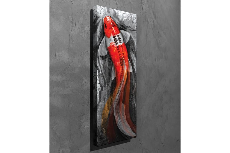 Canvastavla - Karp med starkt röd färg simmande i en dämpad miljö - Röd / Svart / Grå - Inredning - Tavlor & konst - Canvastavlor