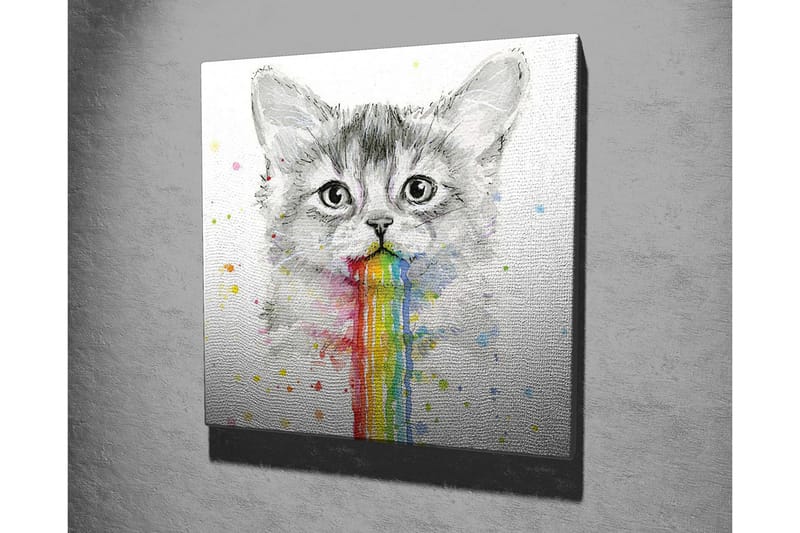 Canvastavla - Katt med regnbågsfärgad spya - Grå / Regnbåge (röd / Orange - Inredning - Tavlor & konst - Canvastavlor